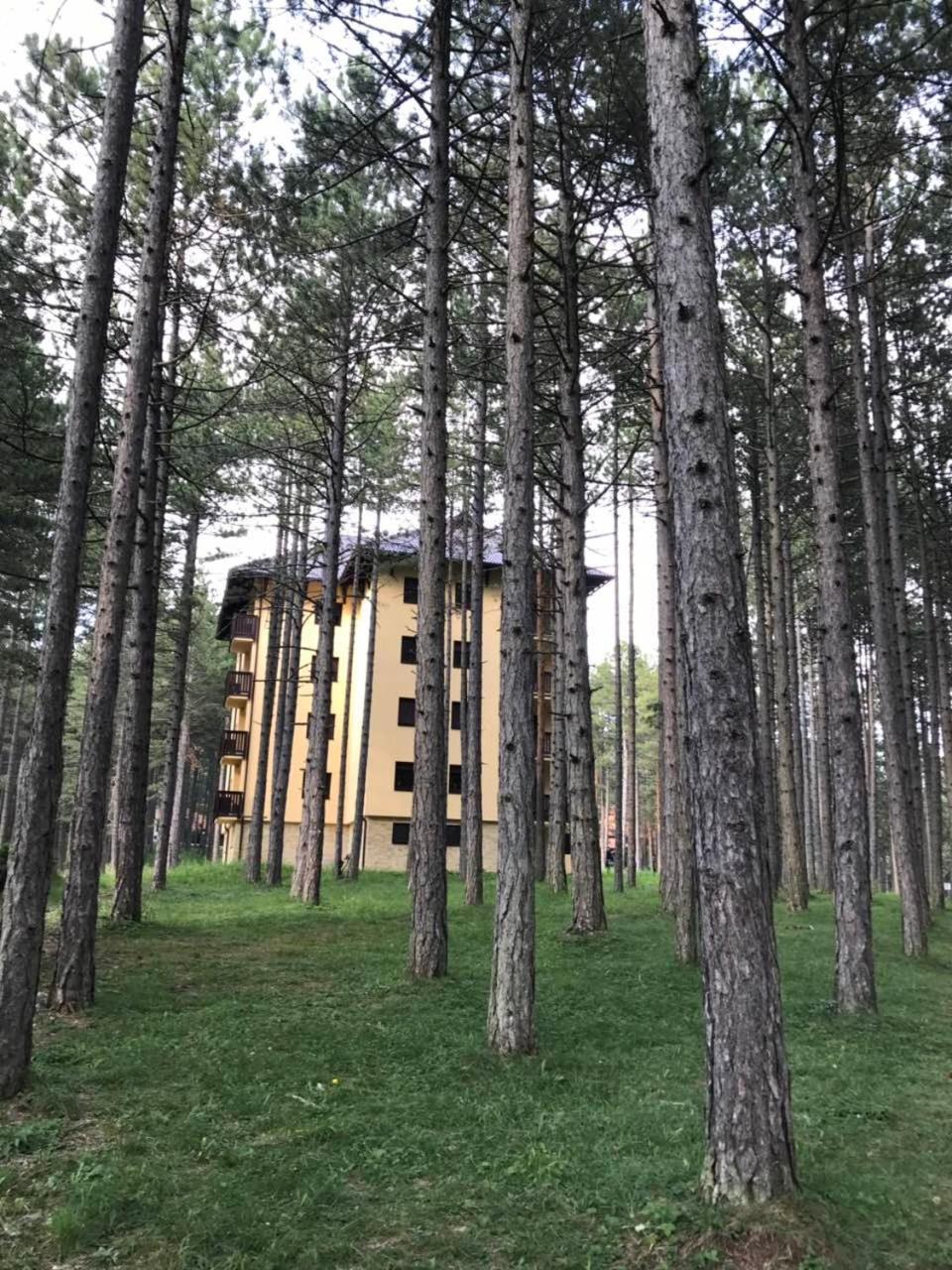 Zlatibor Apartmani Jakovljevic Exterior foto